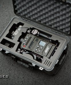 Arri Amira case