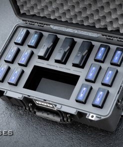 Sony NP-F battery case