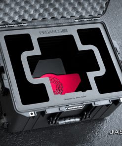 Promise Pegasus32 R8 case