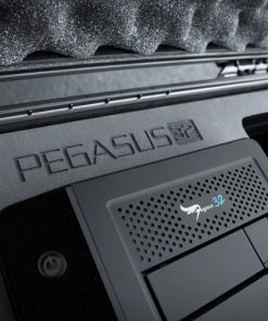 Promise Pegasus32 R8 case
