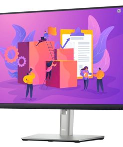 Dell P2422H 24