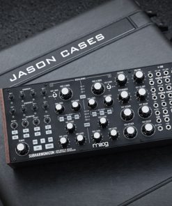Moog Semi modular Eurorack Analog 3 Synthesizer case Jason Cases