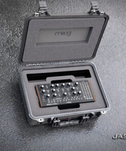 Moog Semi-modular Eurorack Analog Synthesizer case